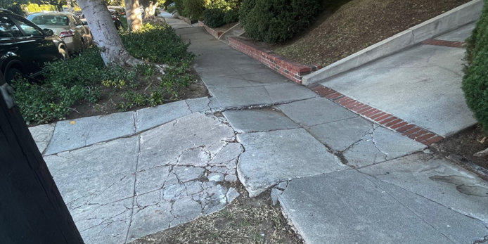 Cracked Sidewalk